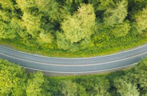 aerial photo of green trees and a curving road