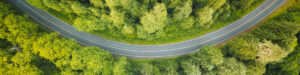 aerial photo of green trees and a curving road