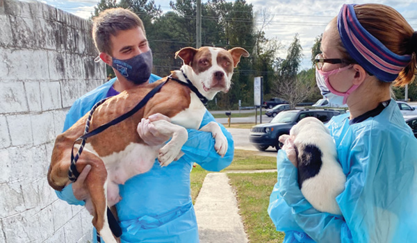 two people holding dogs and smiling