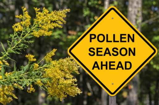 Road sign reading "Pollen Season Ahead"