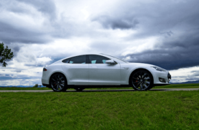 Tesla driving on a field of grass