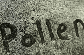 The word, "pollen" written on a car covered in pollen