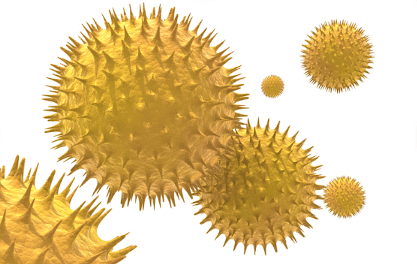 3D rendered image of pollen particles under microscope